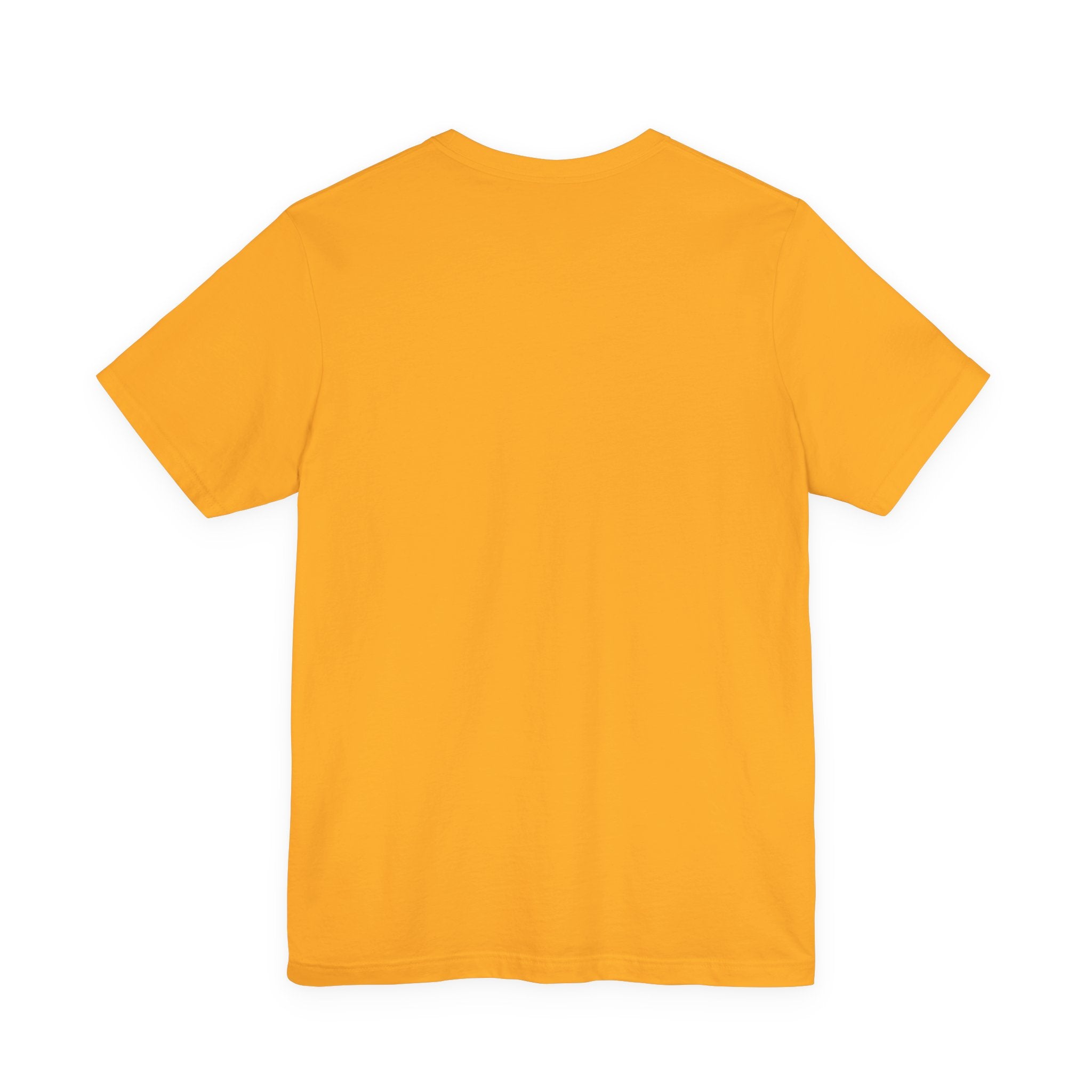 Koi Fish Circle illustration Tee | Asian carp yin yang shirt